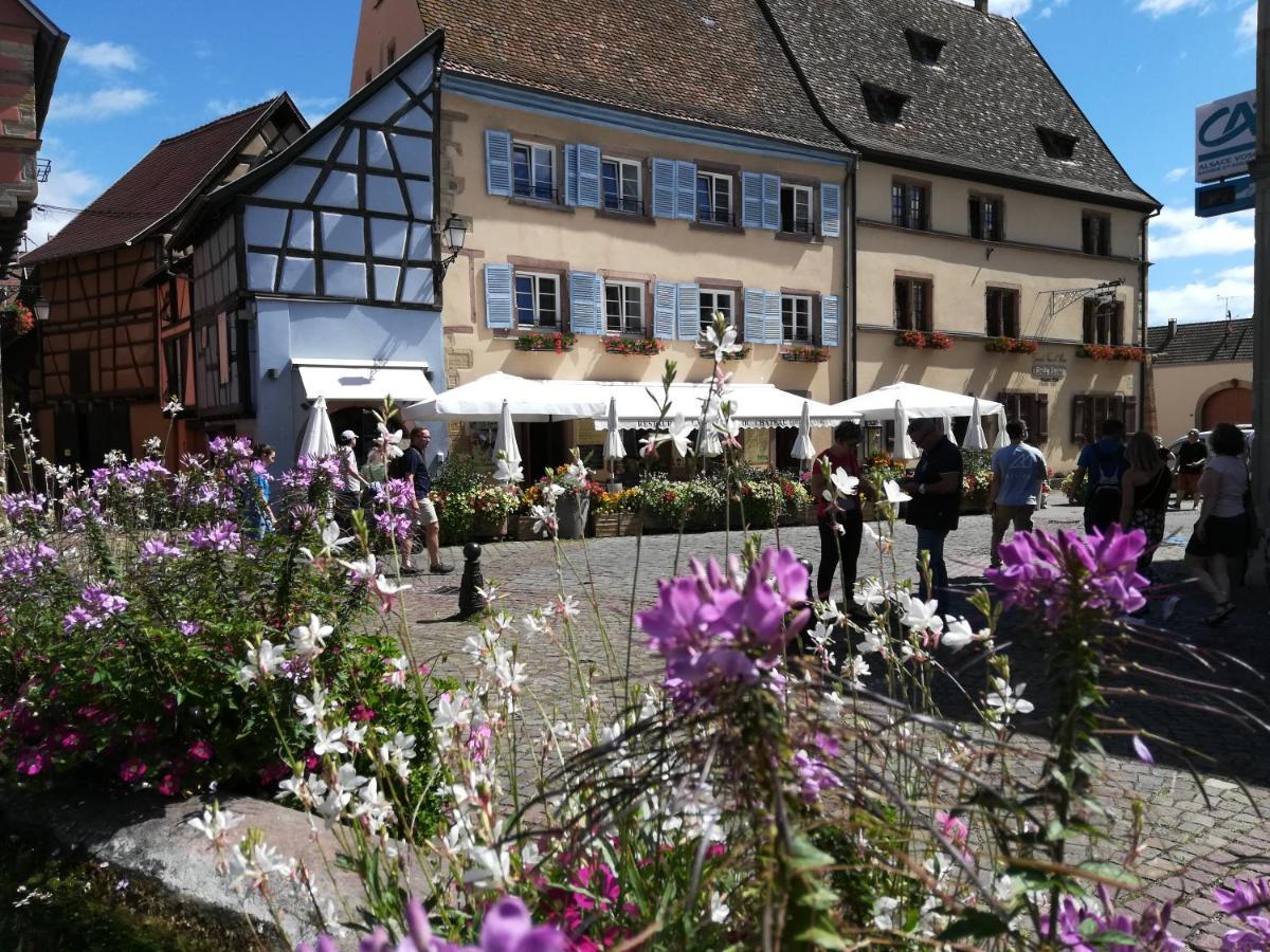 Gîte au château fleuri Eguisheim Extérieur photo